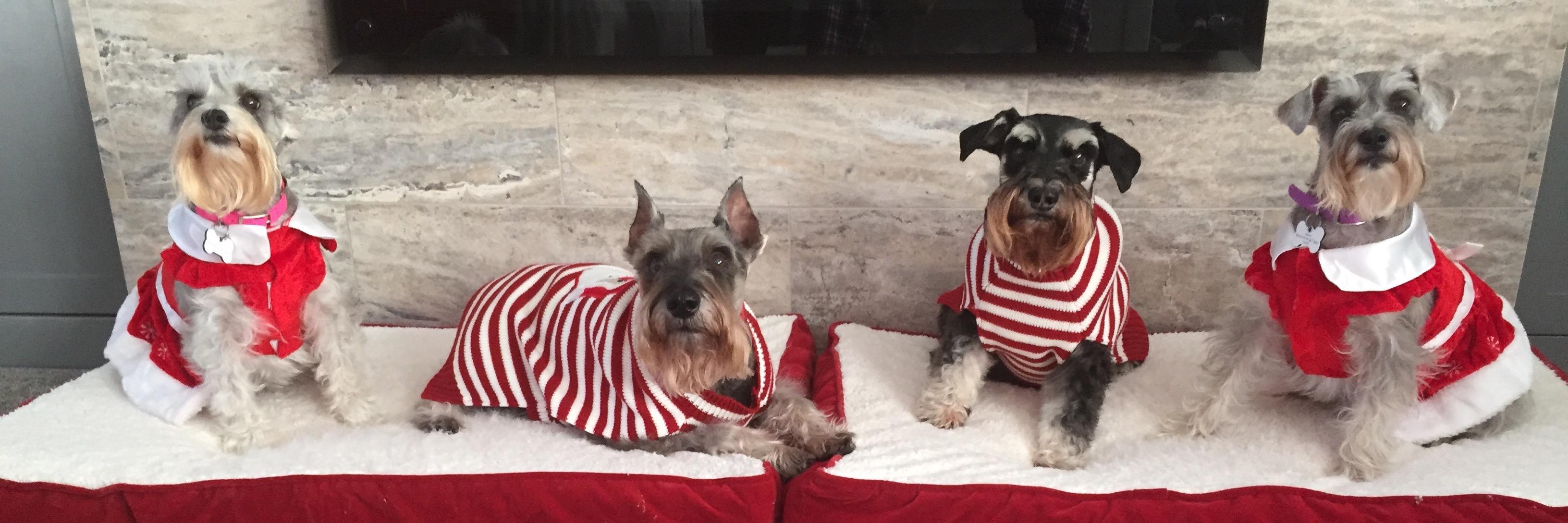 SSGT Stagg. The soul lives forever. banner