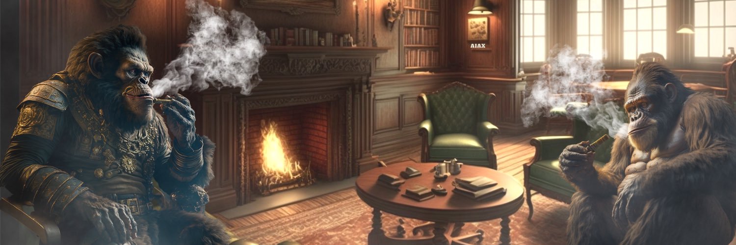 Manuel Aelenei banner