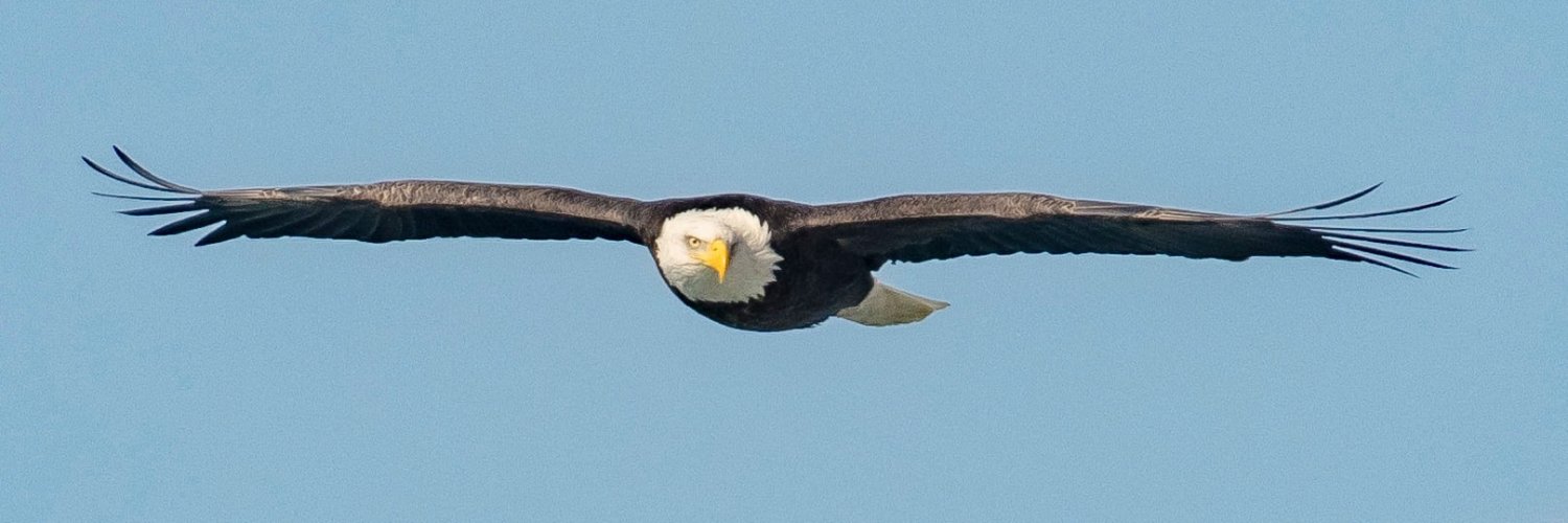 tsbarnes89's profile banner image