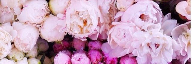 Nicola_Small's profile banner image