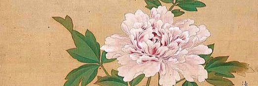 María Solanas banner