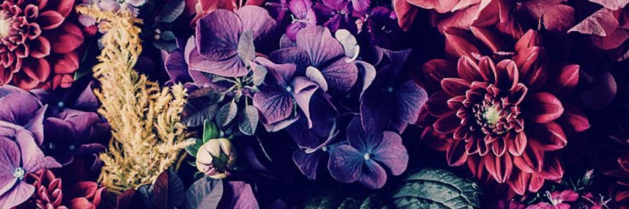 teempusfugit's profile banner image