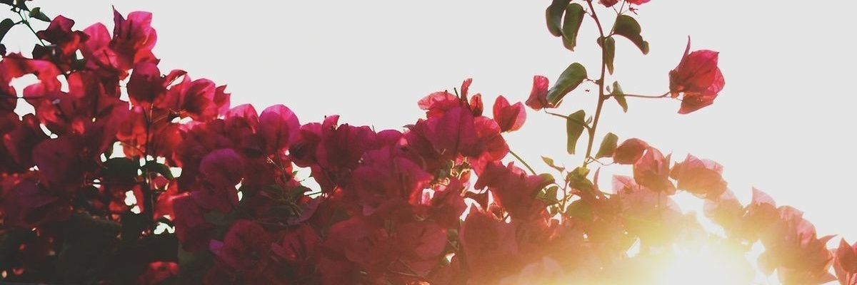 Ionee96's profile banner image