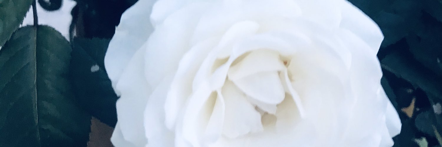 ElasticHexrt_'s profile banner image