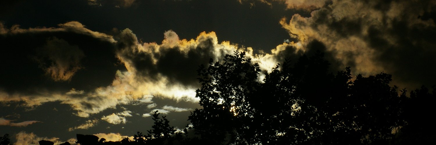 timoklabbers's profile banner image