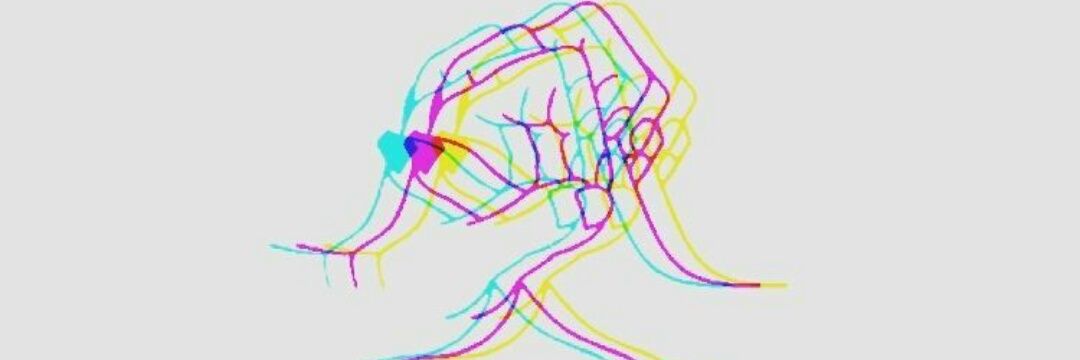 NoraTuvell's profile banner image