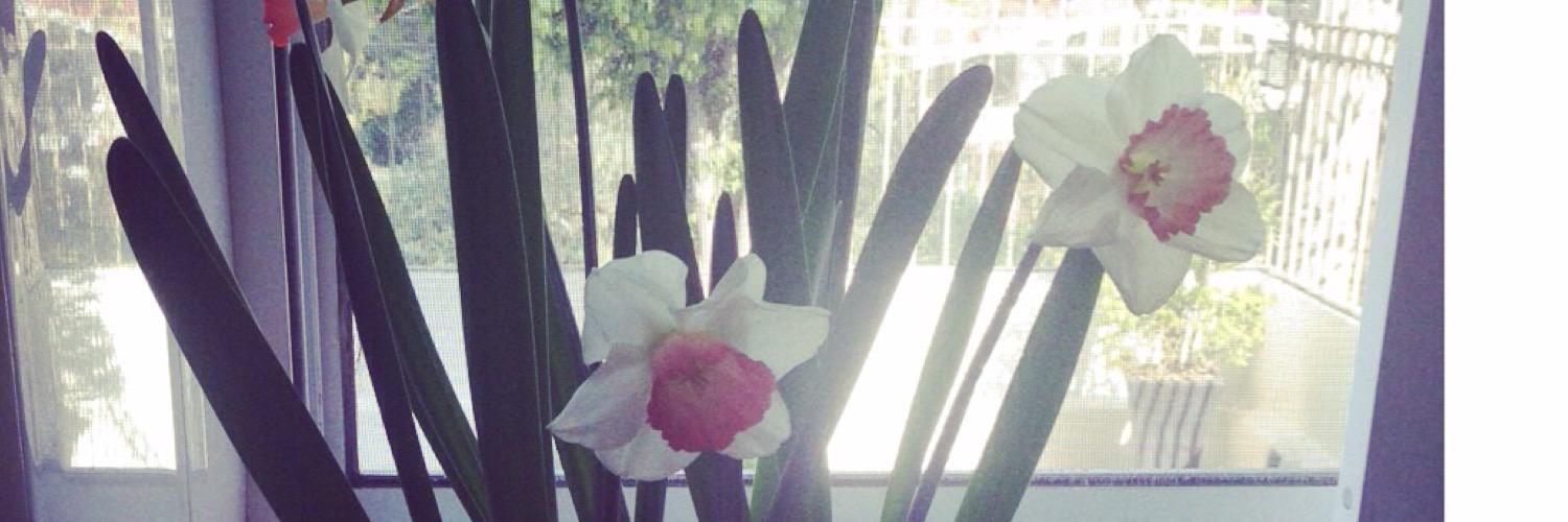Amayaa93's profile banner image