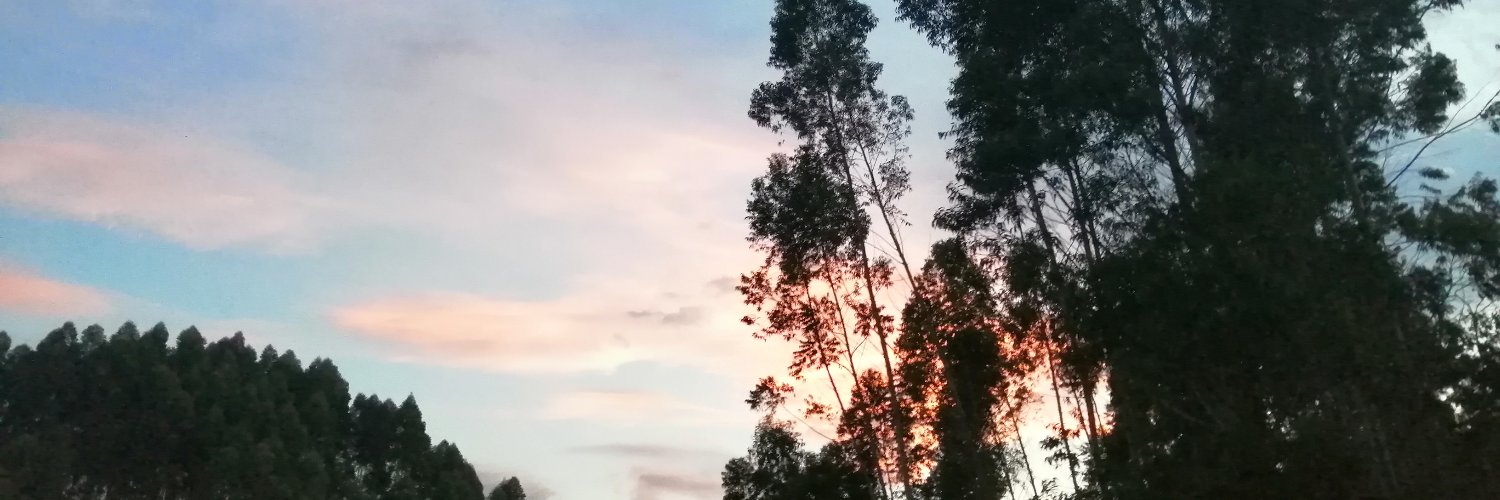 ManuelaHS_'s profile banner image