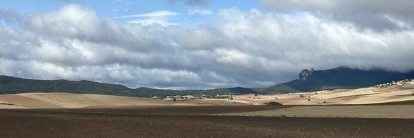 CaroldeBritos Profile Banner