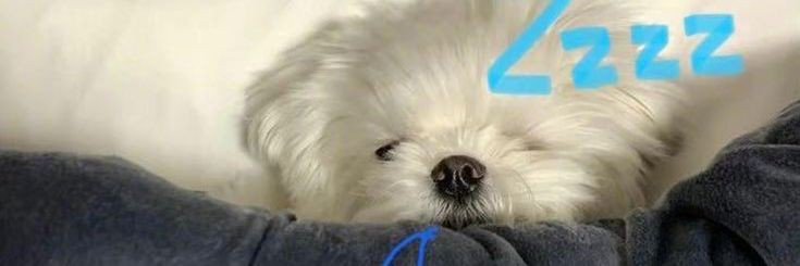 VoiderLeehan2's profile banner image