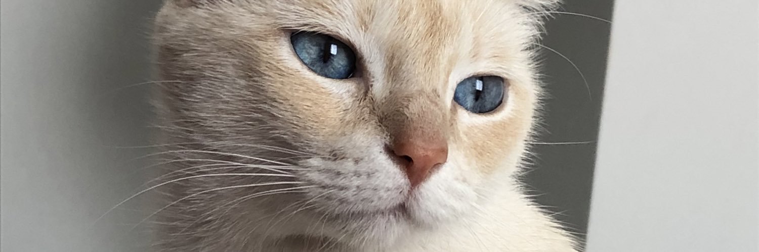 ansfbh's profile banner image