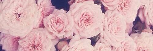 DeboraDew's profile banner image