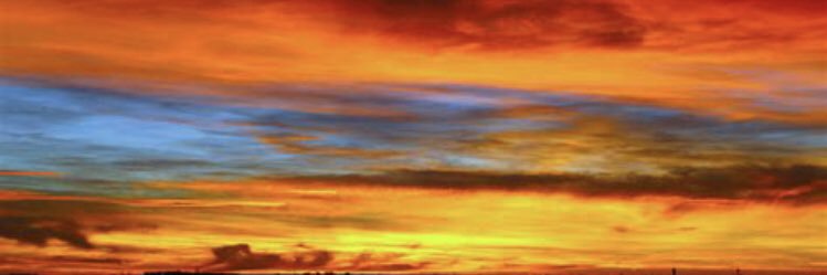 MorningPrsn's profile banner image