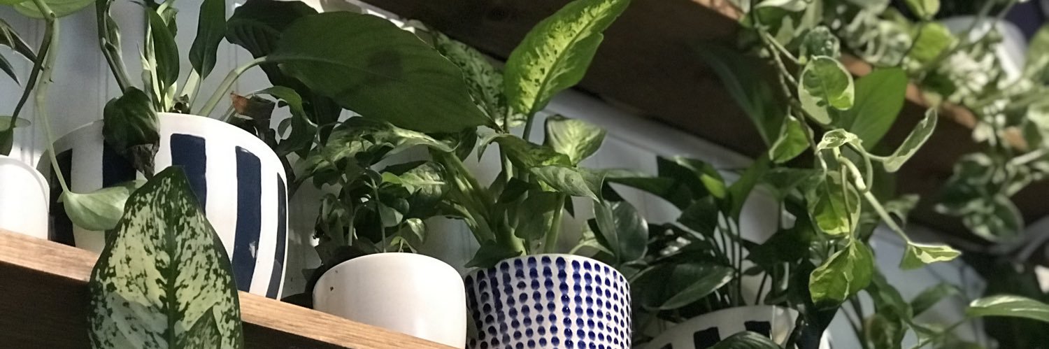 ErinJDuke's profile banner image