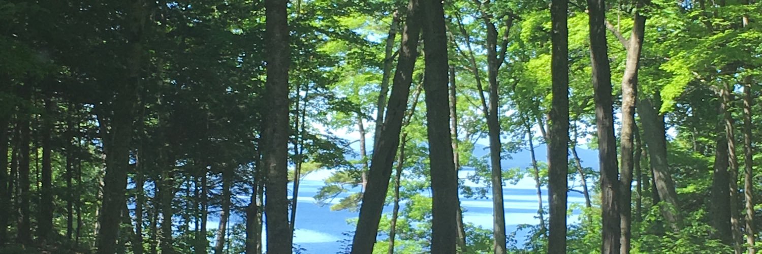 Pam Mackenzie banner
