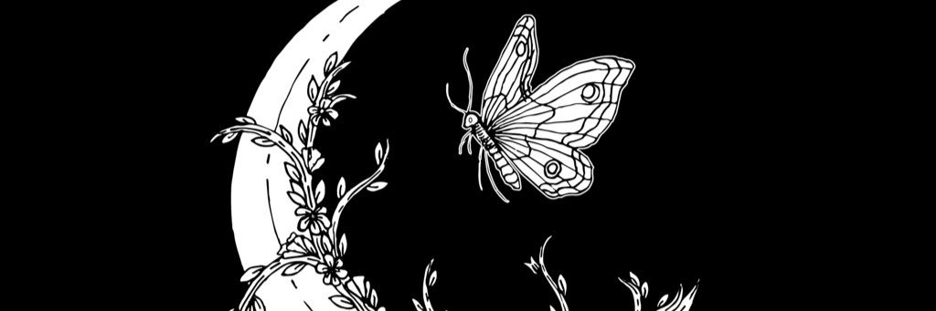 Stephh_T's profile banner image