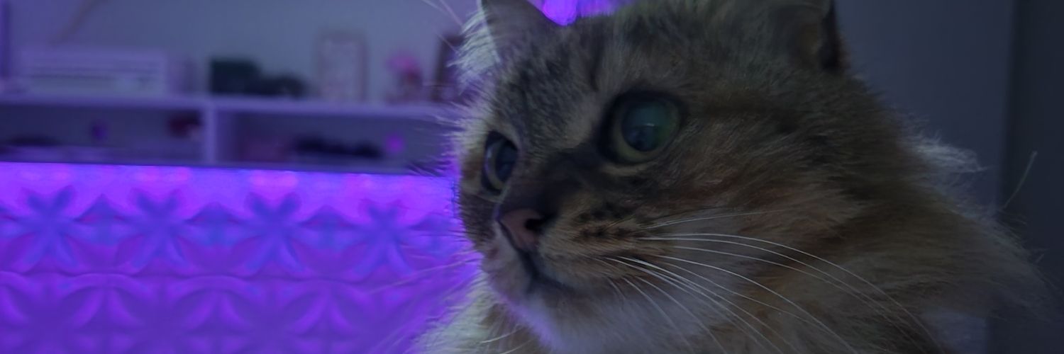https_laissa's profile banner image