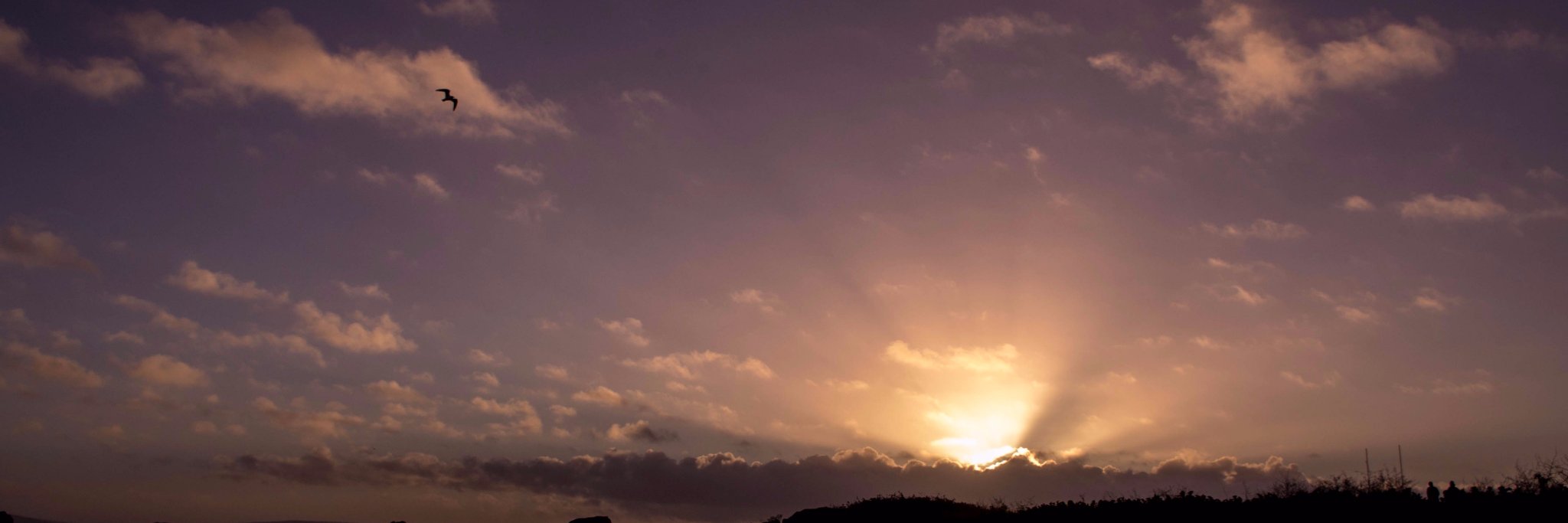 valk212's profile banner image
