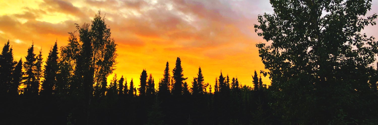 JustTaterAnne's profile banner image