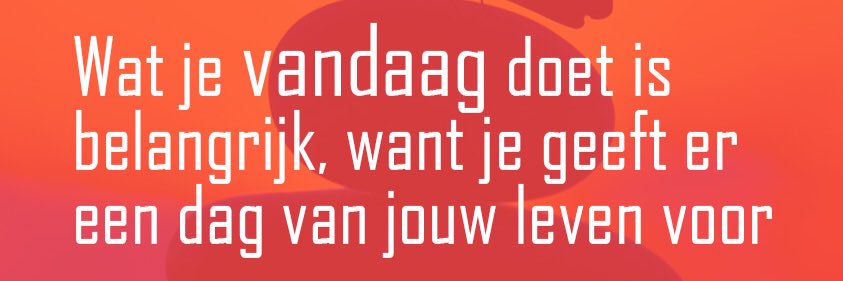 Brigit van Rossum banner