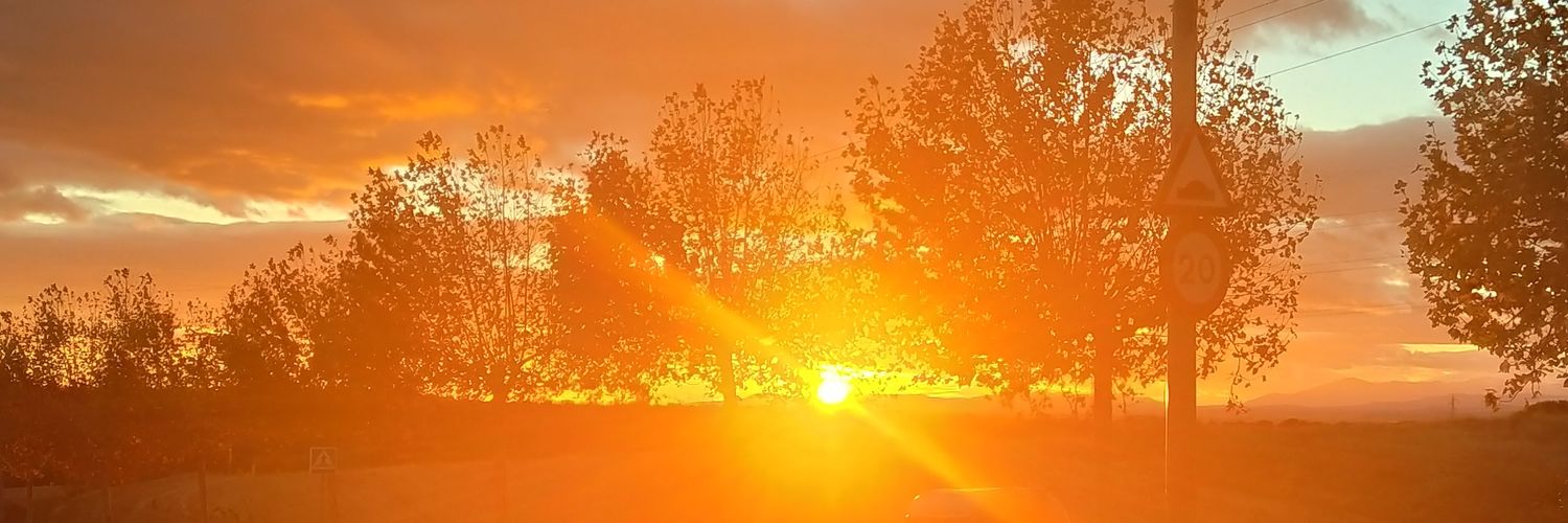 _albasaez_'s profile banner image
