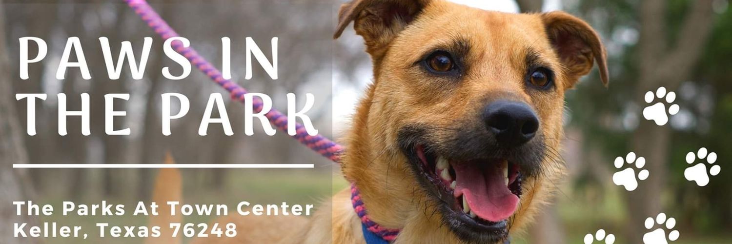 Apollo Support & Rescue banner