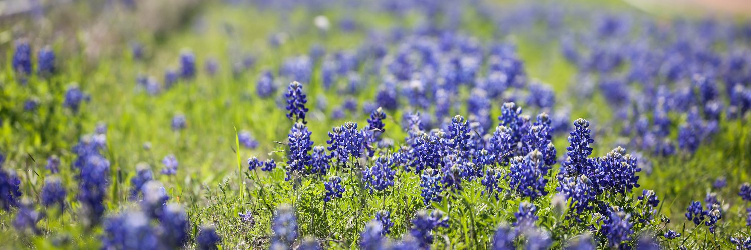 Twitter banner for @keranews