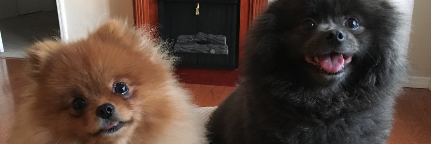 MsBabiGirl's profile banner image