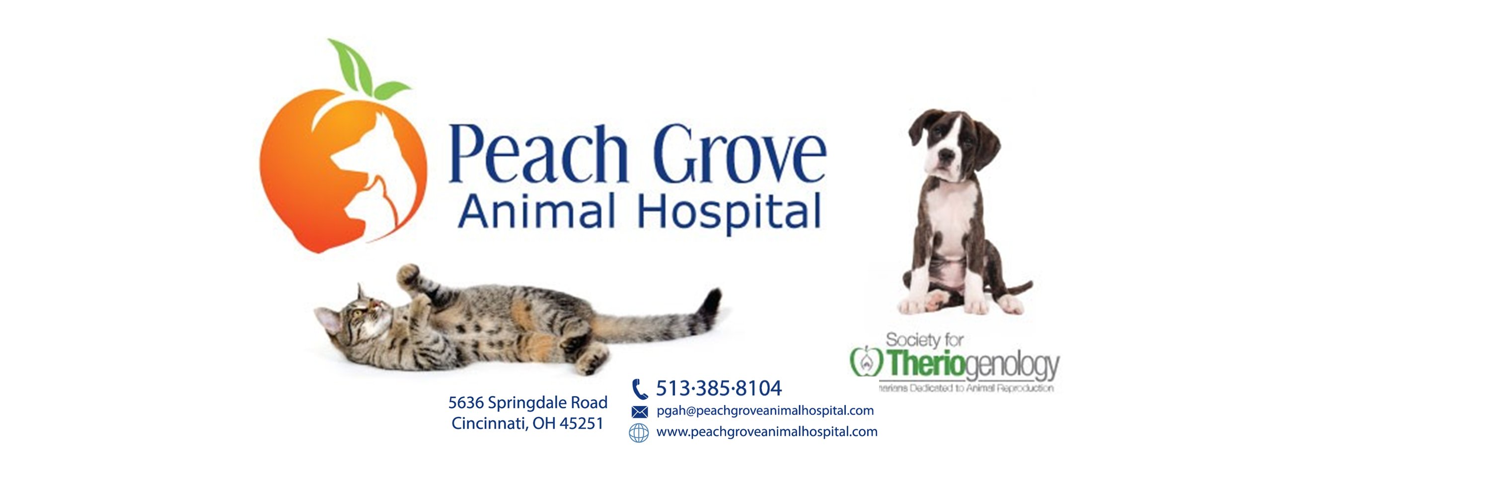 PeachGroveAH's profile banner image
