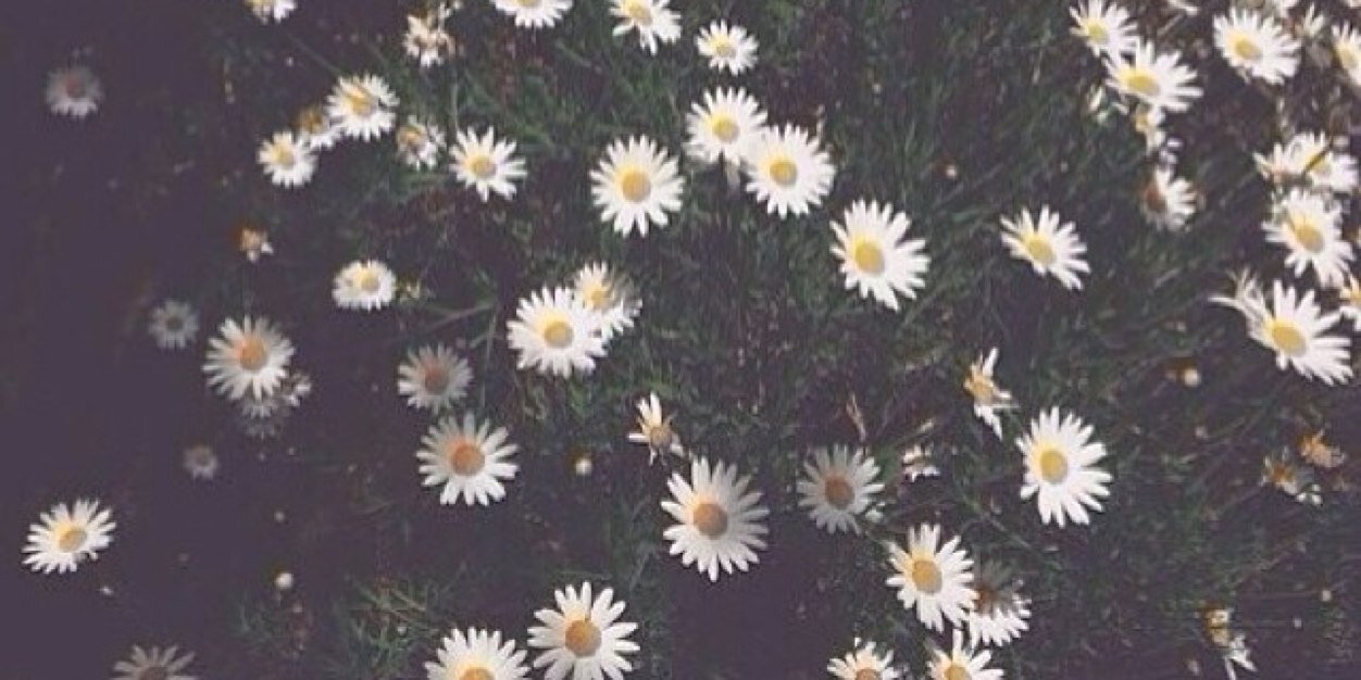 FrancescaJ_xx's profile banner image