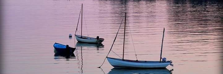 LynneMayne's profile banner image