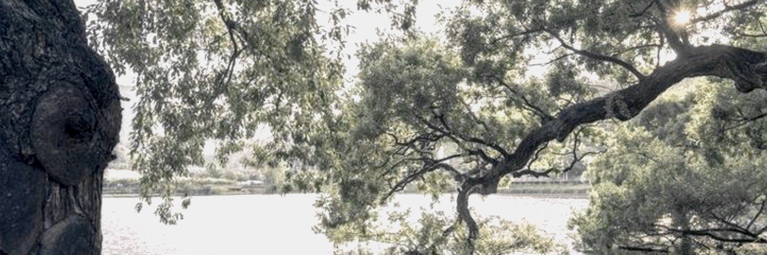 novascotiase's profile banner image