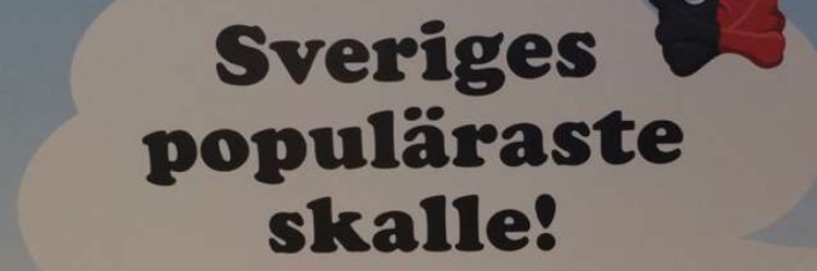 IdaCallenvik's profile banner image