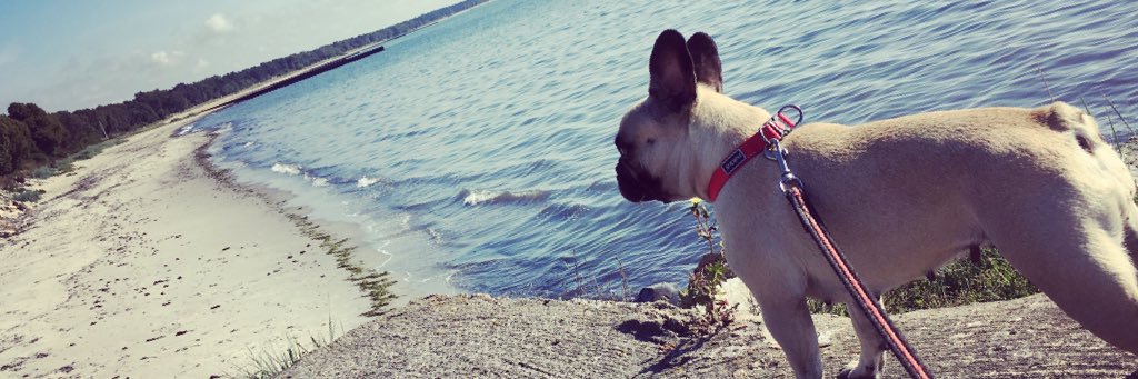 Jerry Hallbäck banner