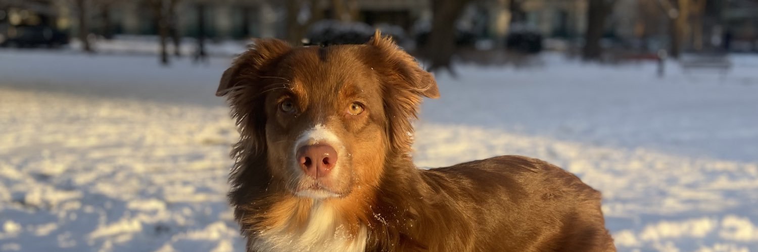 Daniel Rivera banner