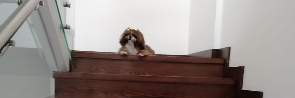 maraculebro's profile banner image