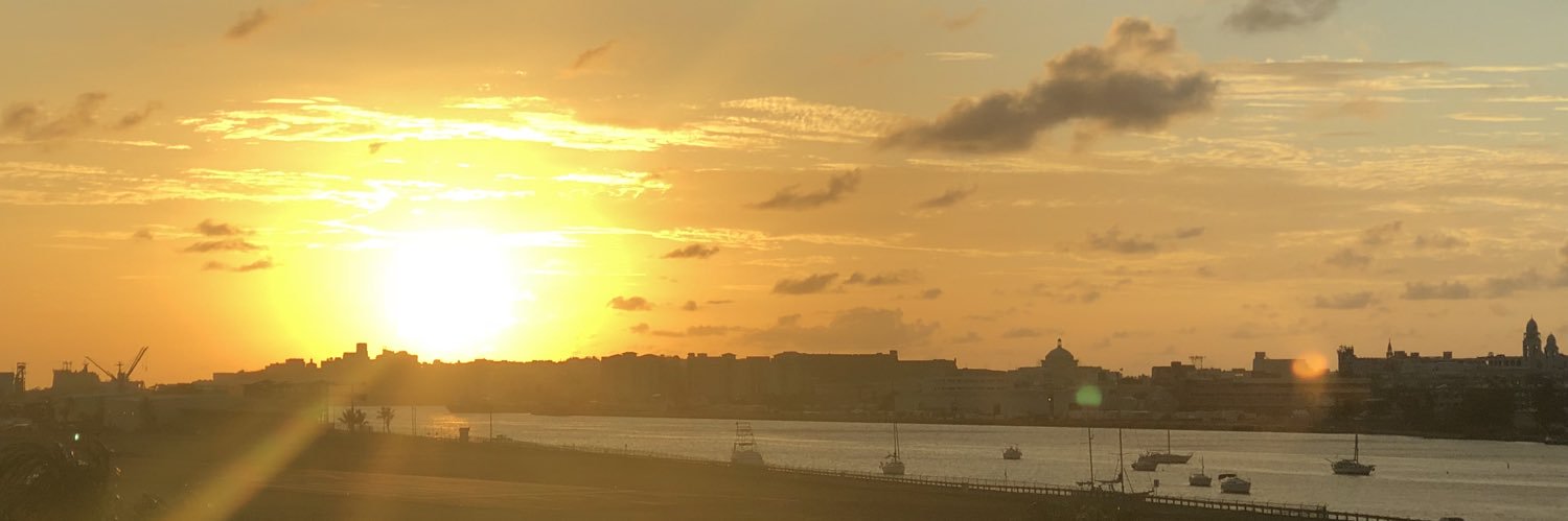 Dionne Curbeam banner