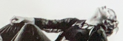 Mehwolf's profile banner image