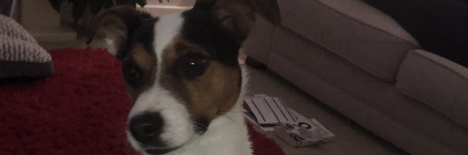 PhilipJeffs's profile banner image