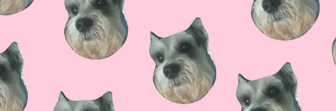 x0vlml's profile banner image