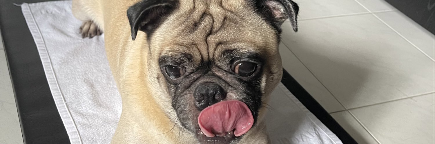 pguzman05's profile banner image