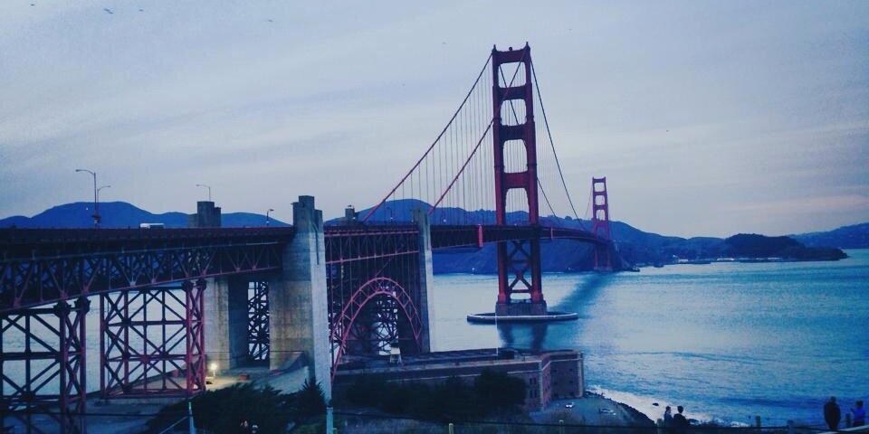 Roya Fathi, MD banner