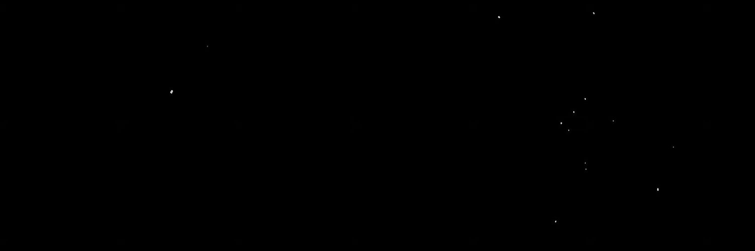 GracieBun's profile banner image