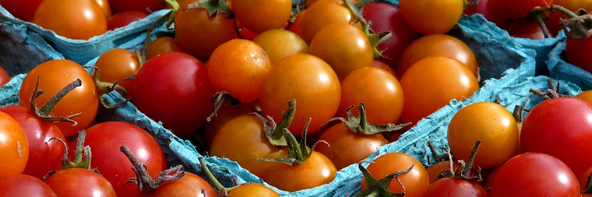 Native Maine Produce banner