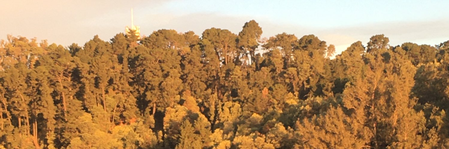 MonteroFlorida's profile banner image