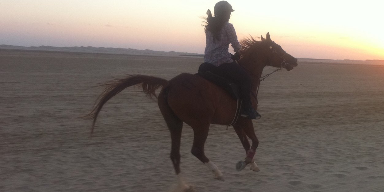 مــديـــہ🇦🇪 banner