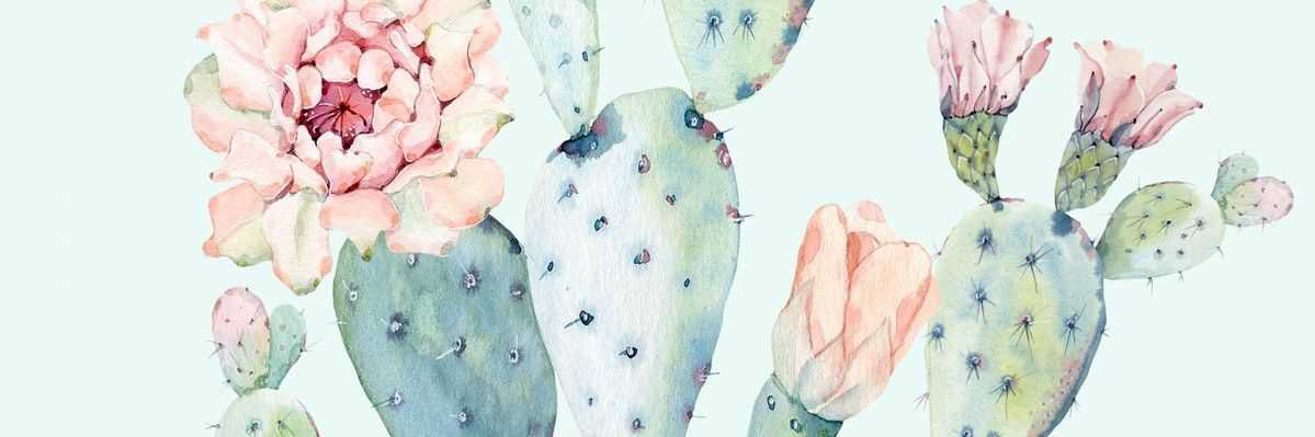 emiliereames's profile banner image