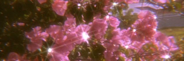 currankatherine's profile banner image