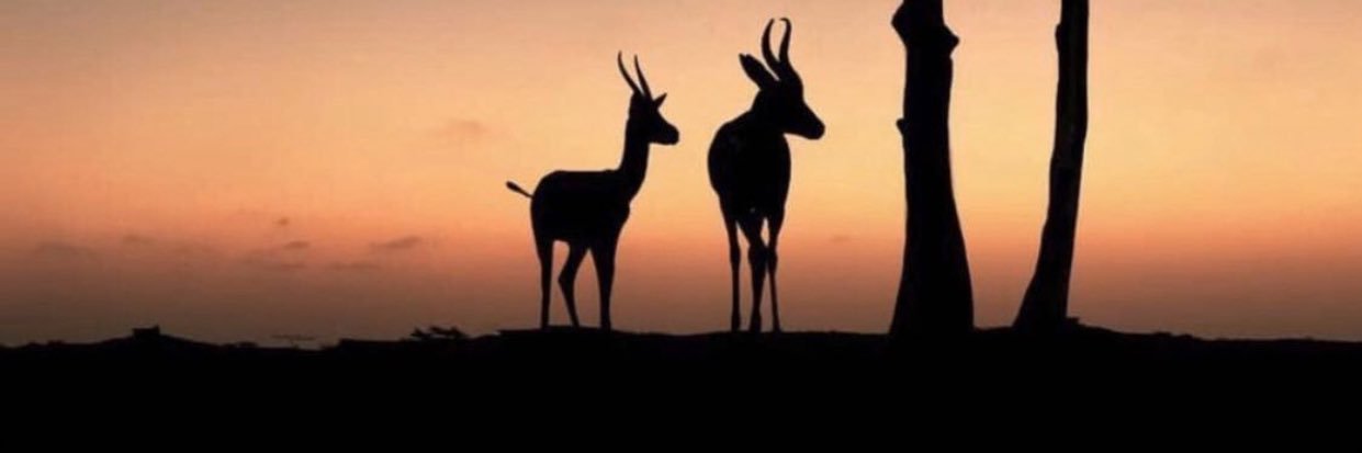 A. banner