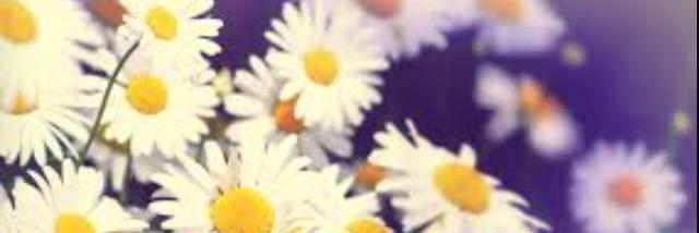 EmmaleighN's profile banner image